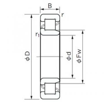 45 mm x 85 mm x 19 mm  NACHI NJ 209 محامل أسطوانية