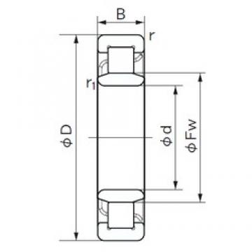 85 mm x 150 mm x 28 mm  NACHI NU 217 محامل أسطوانية