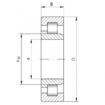 55 mm x 90 mm x 18 mm  ISO NJ1011 محامل أسطوانية