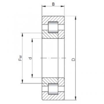 260 mm x 540 mm x 206 mm  ISO NUP3352 محامل أسطوانية