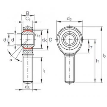 25 mm x 47 mm x 31 mm  INA GAKR 25 PW محامل عادي