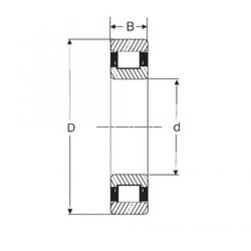 55 mm x 100 mm x 25 mm  SIGMA N 2211 محامل أسطوانية