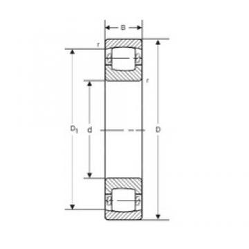 45 mm x 85 mm x 19 mm  SIGMA 20209 محامل كروية