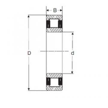 90 mm x 160 mm x 30 mm  SIGMA NU 218 محامل أسطوانية