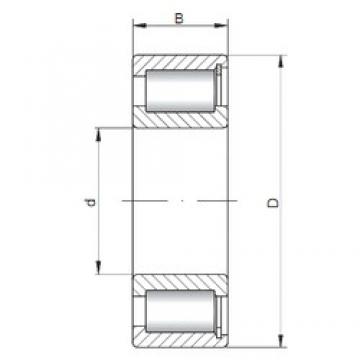 460 mm x 620 mm x 95 mm  ISO SL182992 محامل أسطوانية