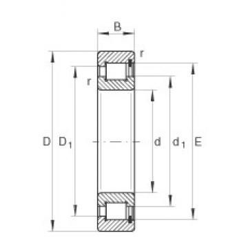 220 mm x 270 mm x 24 mm  INA SL181844 محامل أسطوانية