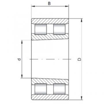 40 mm x 68 mm x 21 mm  ISO NN3008 K محامل أسطوانية