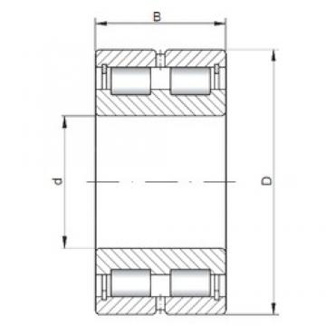 240 mm x 300 mm x 60 mm  ISO SL024848 محامل أسطوانية