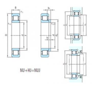 300 mm x 460 mm x 74 mm  PSL NUJ1060 محامل أسطوانية