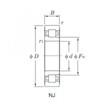 65 mm x 120 mm x 31 mm  KOYO NJ2213R محامل أسطوانية