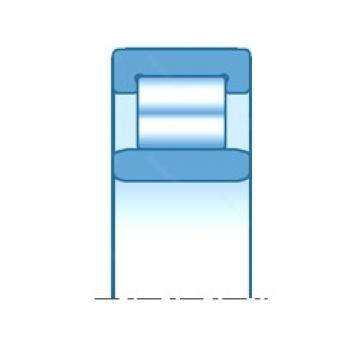 45,000 mm x 100,000 mm x 25,000 mm  SNR NU309EM محامل أسطوانية