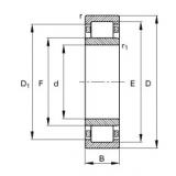 140 mm x 250 mm x 68 mm  FAG NU2228-E-M1 محامل أسطوانية