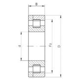 260 mm x 480 mm x 130 mm  ISO NP2252 محامل أسطوانية