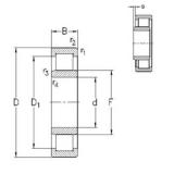 120 mm x 215 mm x 40 mm  NKE NU224-E-M6 محامل أسطوانية