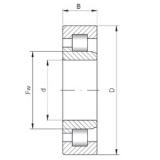 55 mm x 90 mm x 18 mm  ISO NJ1011 محامل أسطوانية