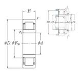 95 mm x 145 mm x 24 mm  NSK NU1019 محامل أسطوانية