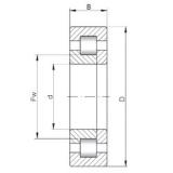 260 mm x 540 mm x 206 mm  ISO NUP3352 محامل أسطوانية