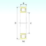 95 mm x 200 mm x 67 mm  ISB NJ 2319 محامل أسطوانية