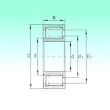 50 mm x 110 mm x 40 mm  NBS ZSL192310 محامل أسطوانية