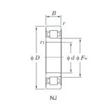 65 mm x 120 mm x 31 mm  KOYO NJ2213R محامل أسطوانية