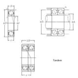 55 mm x 120 mm x 29 mm  NTN 7311BDT الاتصال الكرات الزاوي