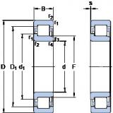 120 mm x 215 mm x 40 mm  SKF NJ 224 ECJ فحوى الكرات