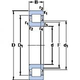 17 mm x 40 mm x 16 mm  SKF NUP 2203 ECP فحوى الكرات